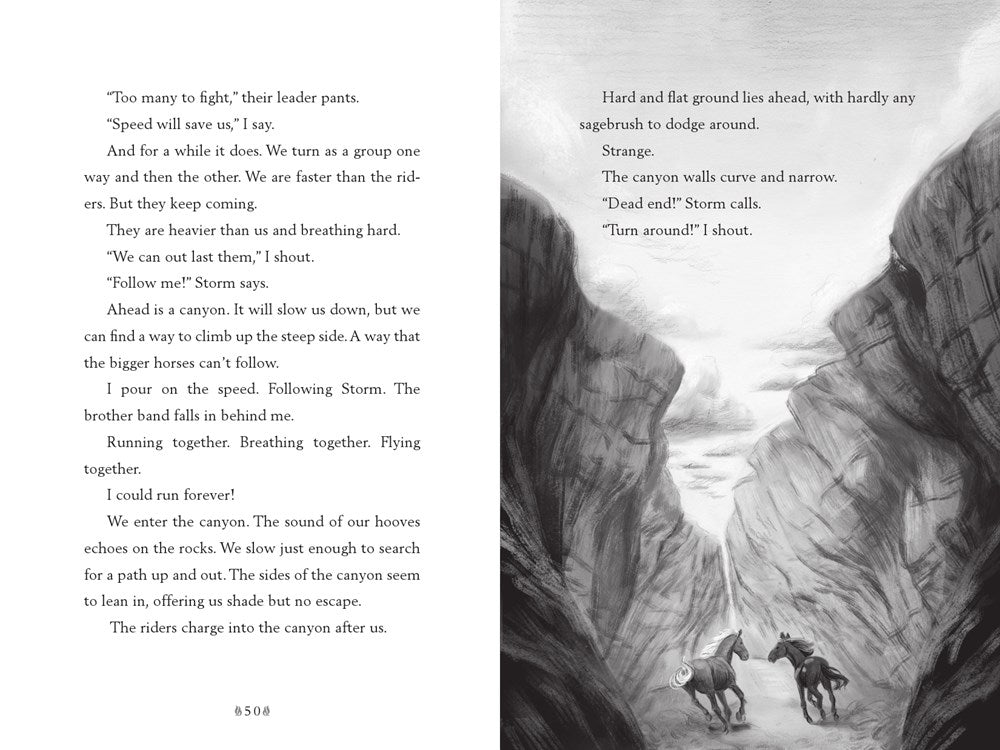 A Horse Named Sky (A Voice of the Wilderness Novel)