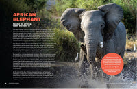 100 Animals That Can F*cking End You