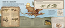 A Natural History of Dragons (Folklore Field Guides)