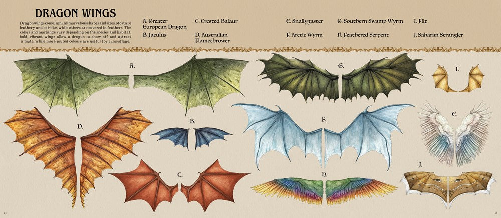 A Natural History of Dragons (Folklore Field Guides)