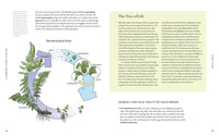 A Gardener's Guide to Botany: The biology behind the plants you love, how they grow, and what they need
