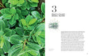 A Gardener's Guide to Botany: The biology behind the plants you love, how they grow, and what they need