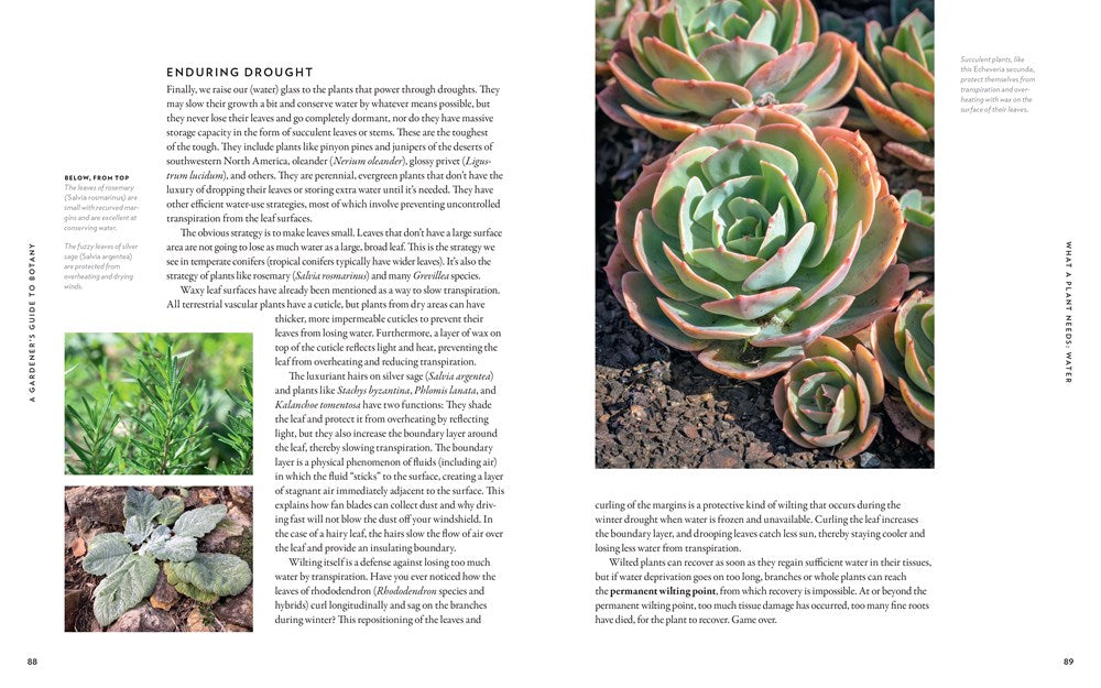 A Gardener's Guide to Botany: The biology behind the plants you love, how they grow, and what they need