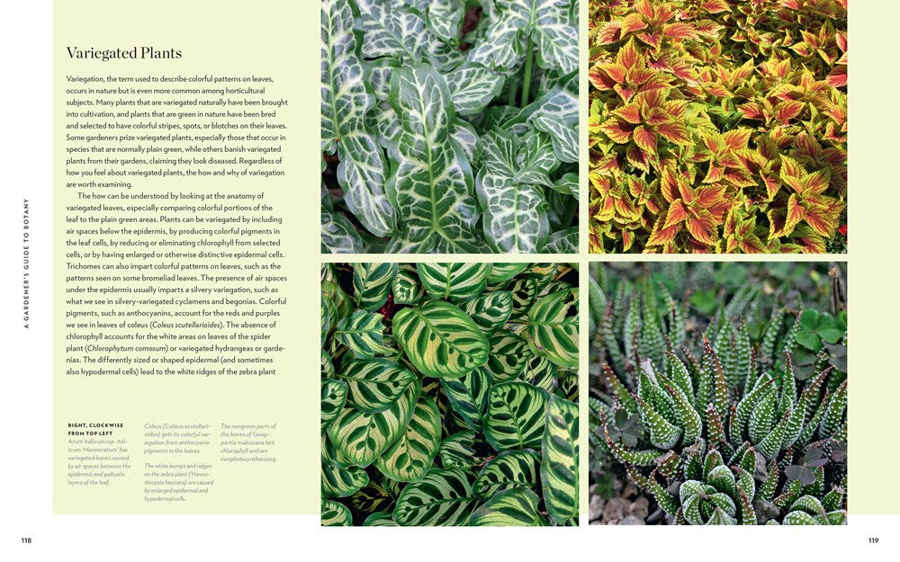 A Gardener's Guide to Botany: The biology behind the plants you love, how they grow, and what they need
