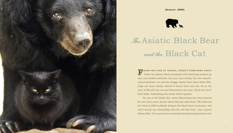 Unlikely Friendships: 47 Remarkable Stories from the Animal Kingdom