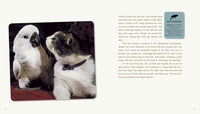Unlikely Friendships: 47 Remarkable Stories from the Animal Kingdom