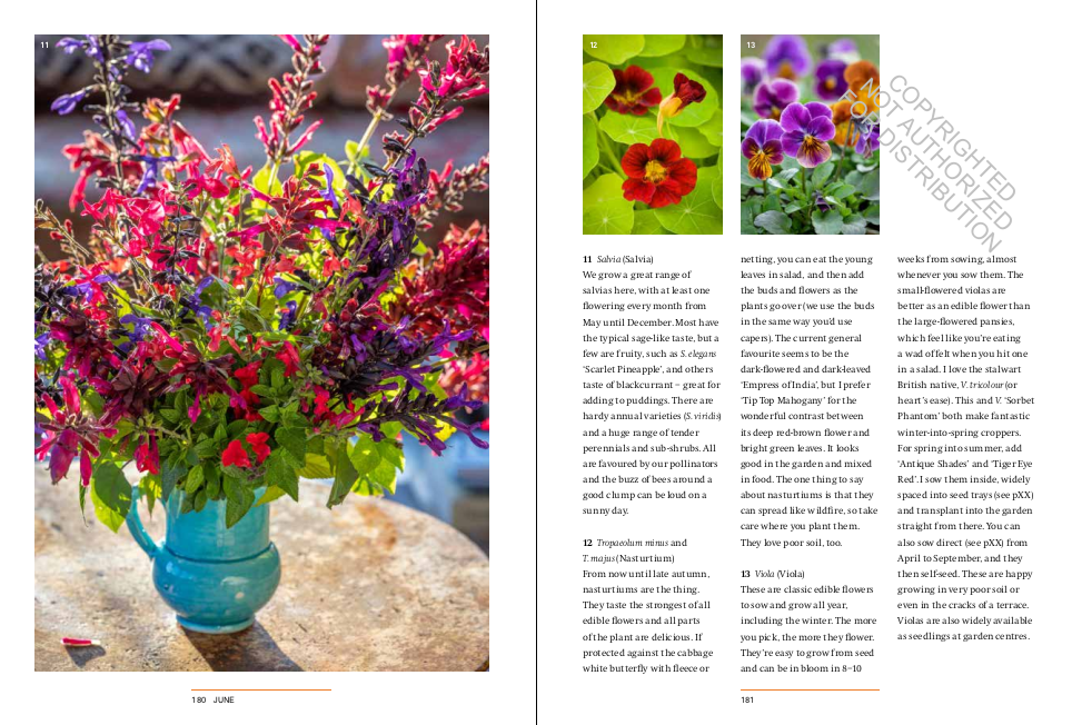 A Year in the Edible Garden: A Month-by-Month Guide to Growing and Harvesting Vegetables, Herbs, and Edible Flowers