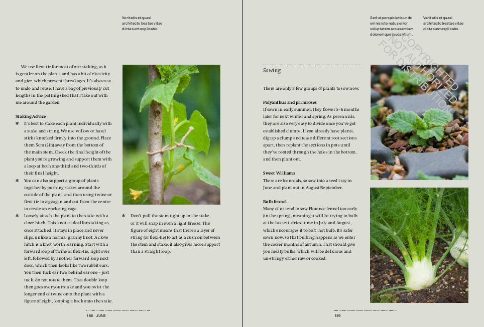 A Year in the Edible Garden: A Month-by-Month Guide to Growing and Harvesting Vegetables, Herbs, and Edible Flowers
