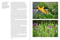 A Year in the Edible Garden: A Month-by-Month Guide to Growing and Harvesting Vegetables, Herbs, and Edible Flowers
