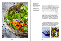A Year in the Edible Garden: A Month-by-Month Guide to Growing and Harvesting Vegetables, Herbs, and Edible Flowers