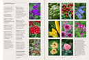 A Year in the Edible Garden: A Month-by-Month Guide to Growing and Harvesting Vegetables, Herbs, and Edible Flowers