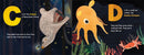A Is for Axolotl: An Unusual Animal ABC