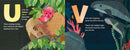 A Is for Axolotl: An Unusual Animal ABC