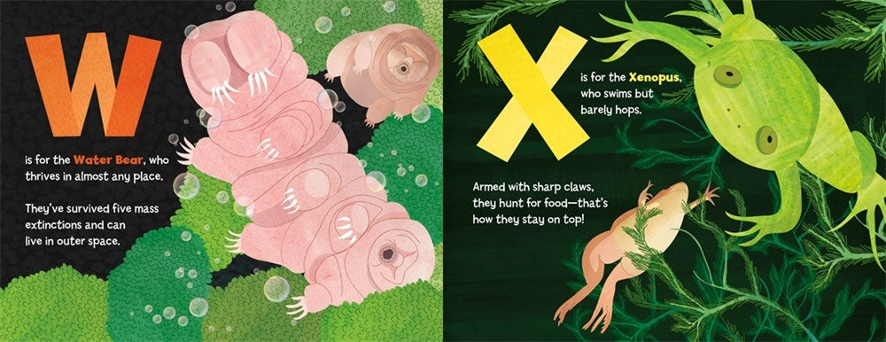 A Is for Axolotl: An Unusual Animal ABC