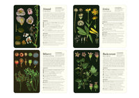 50 Plants that Heal