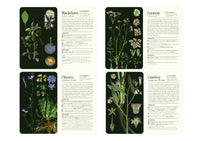 50 Plants that Heal