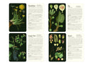 50 Plants that Heal