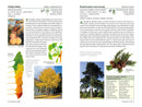 A Californian's Guide to the Trees Among Us: Expanded and Updated