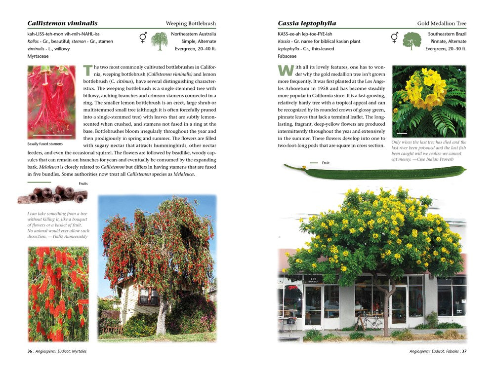 A Californian's Guide to the Trees Among Us: Expanded and Updated
