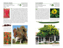 A Californian's Guide to the Trees Among Us: Expanded and Updated