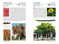 A Californian's Guide to the Trees Among Us: Expanded and Updated
