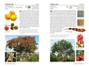 A Californian's Guide to the Trees Among Us: Expanded and Updated