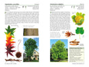 A Californian's Guide to the Trees Among Us: Expanded and Updated