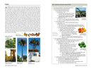 A Californian's Guide to the Trees Among Us: Expanded and Updated