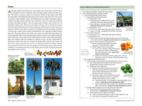 A Californian's Guide to the Trees Among Us: Expanded and Updated