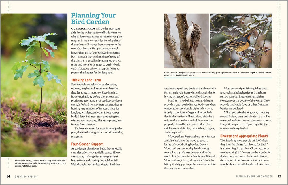 100 Plants to Feed the Birds: Turn Your Home Garden into a Healthy Bird Habitat
