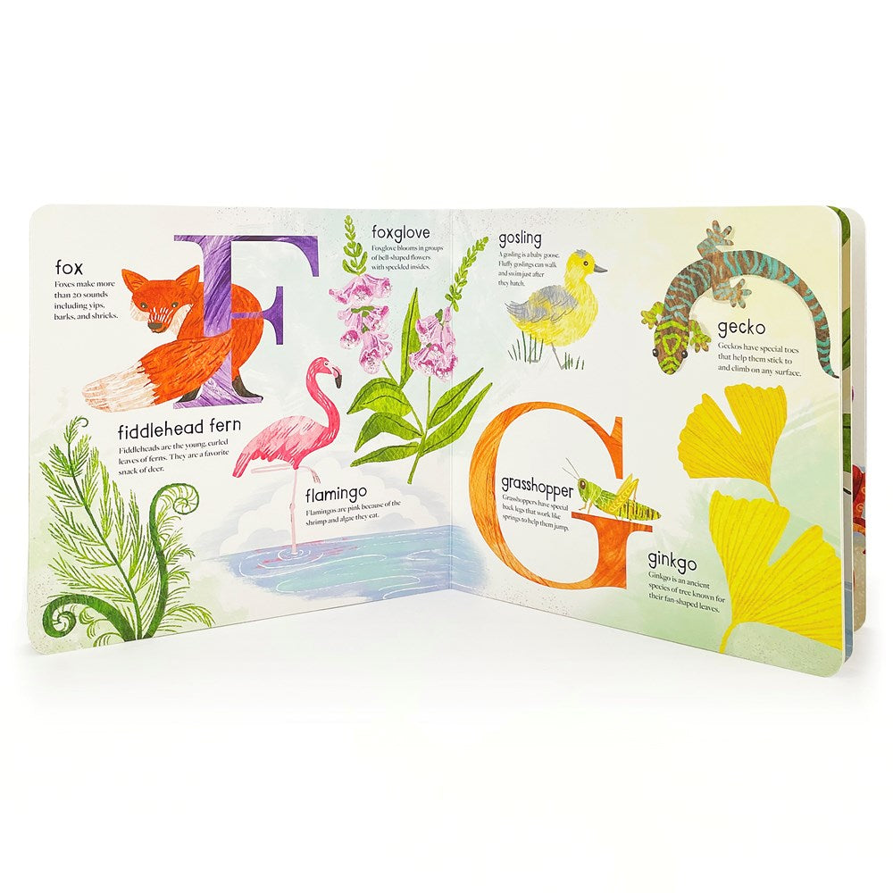 ABCs of Nature: A Wild & Wonderful Alphabet Experience - ABC Learning Book for Toddlers, Kindergartners, and Curious Minds with Fun Fact Bites, Ages 1-5