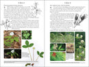 365 Days of Northern Nature