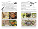 365 Days of Northern Nature