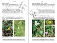 365 Days of Northern Nature