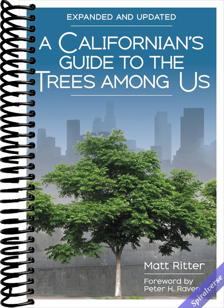 A Californian's Guide to the Trees Among Us: Expanded and Updated
