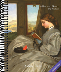 A Horse at Night: On Writing